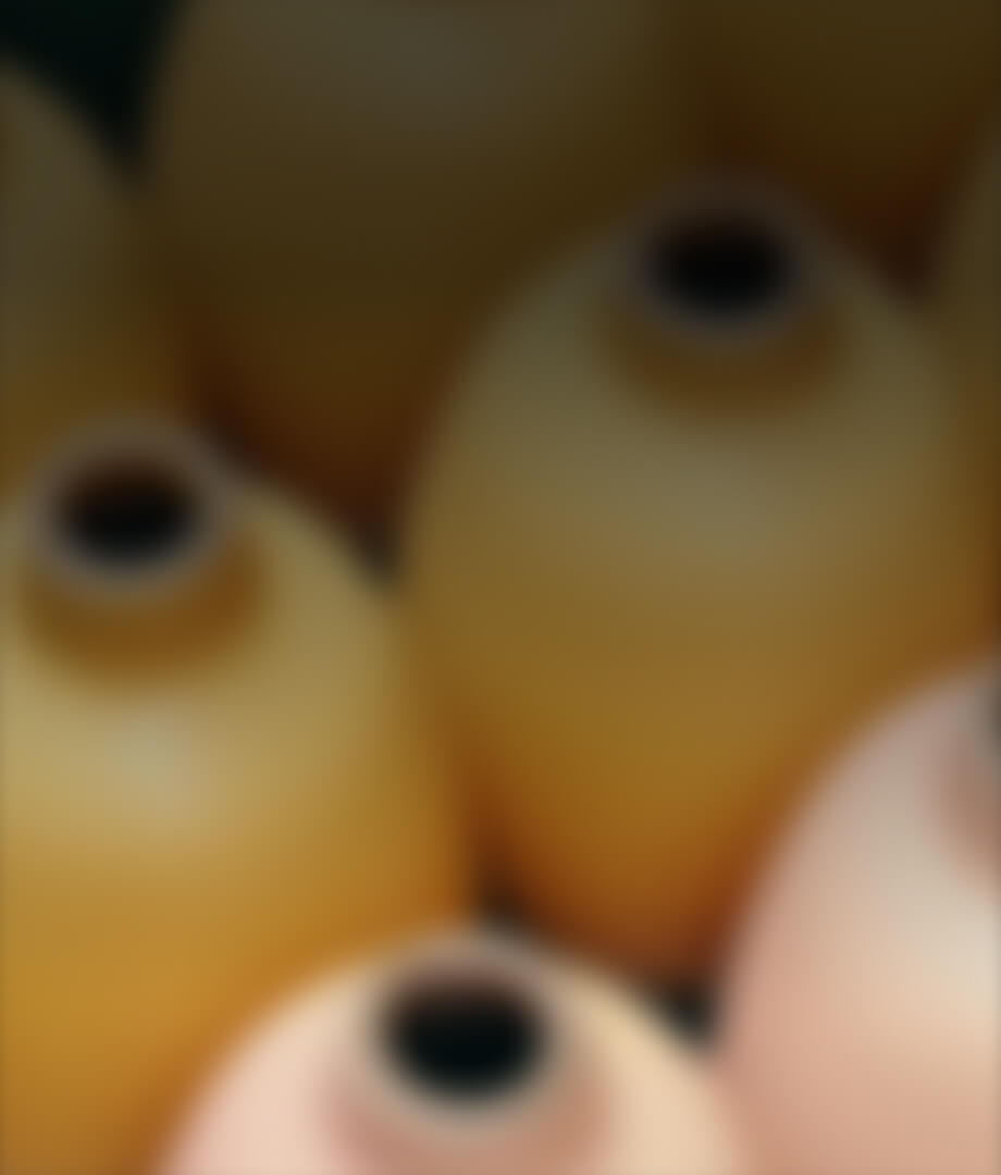 translate.site.surveyconductor.home.home.clientssurveyit2017.ogni.ti.mini