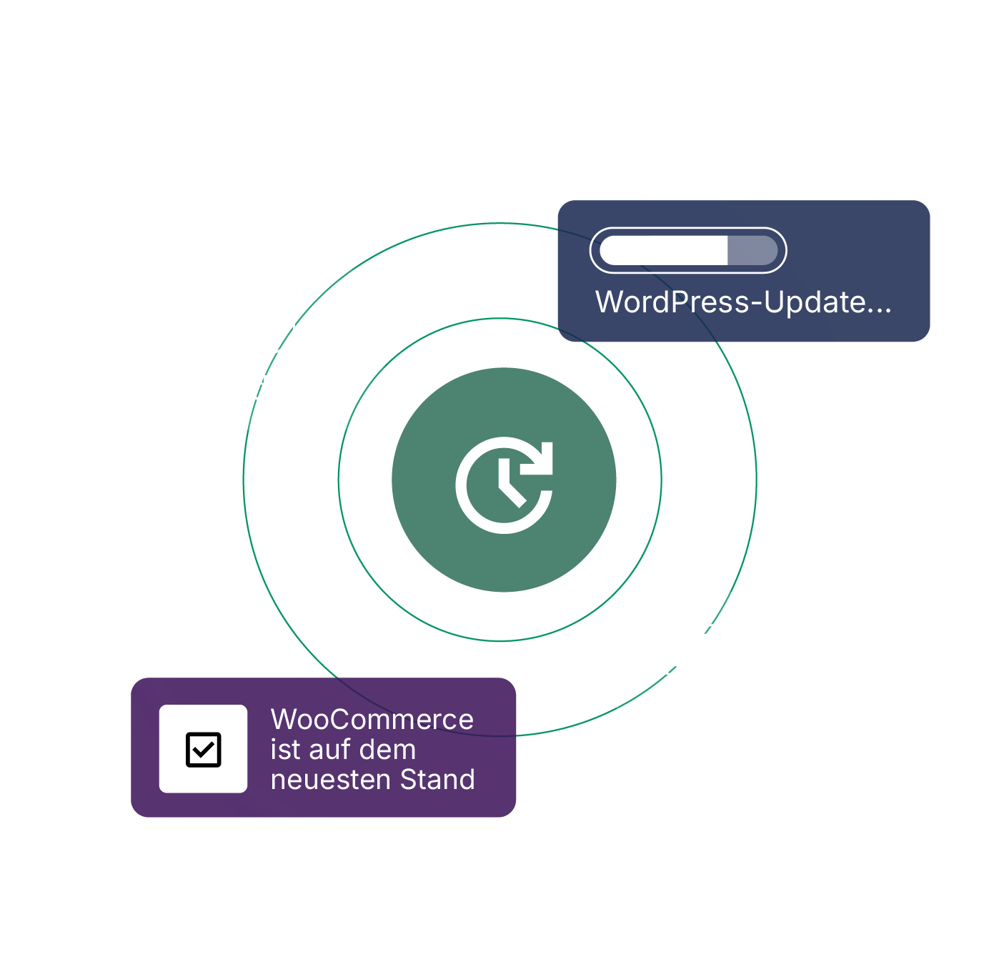 translate.site.salespages.woocommercehosting.accordion.1.img.alt