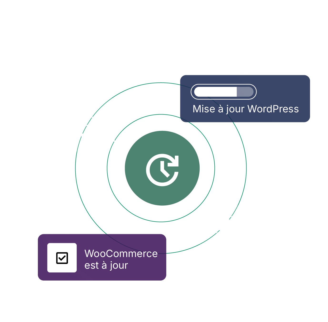 translate.site.salespages.woocommercehosting.accordion.1.img.alt