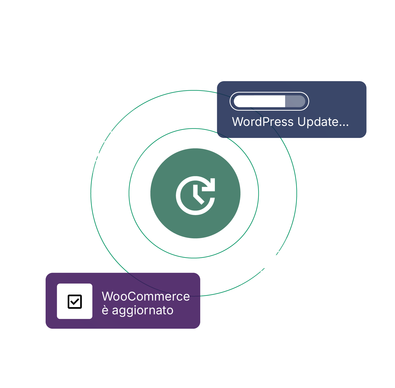translate.site.salespages.woocommercehosting.accordion.1.img.alt